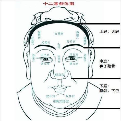 53歲面相|【50至60歲面相】50至60歲面相大解密！從晚年流年圖看你的老。